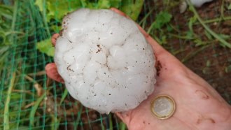 A hand holds a snowball-sized piece of hail that dwarfs a Euro coin next to it.