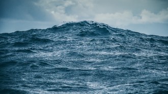 A wave is shown rising out at sea.