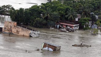 Structures and trees are inundated in flood waters.