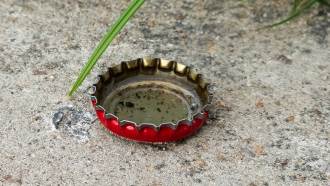 A bottle cap in Ecuador collects rainwater, providing a breeding site for dengue-carrying mosquitos.