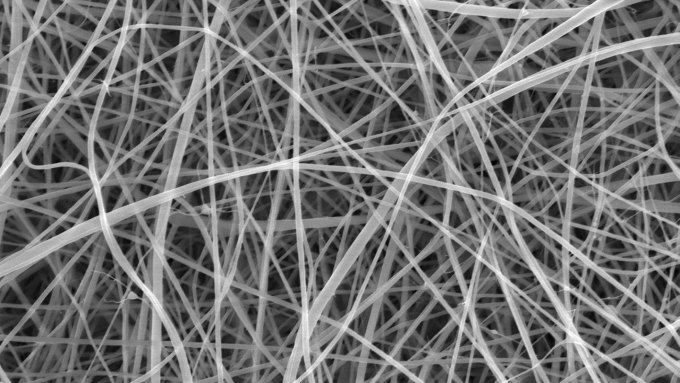 A mesh of thin gray fibers.